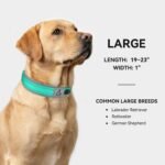 Joytale Reflective Dog Collar for Large Dogs with Wide Padding, Teal - Image 5