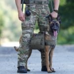 ONETIGRIS Dog Backpack for Medium & Large Dogs, Nylon Backpack for Dogs Tactical Pet Backpack with Side Pockets for Hiking Walking Training Running (Green, Medium) - Image 4