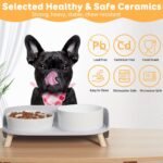 Elevated Slow Feeder Dog Bowls with Splash Proof Stand, Slow Eating 5X - Image 5