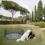 PETIME Foldable Metal Dog Exercise Pen/Pet Puppy Playpen Kennels Yard Fence Indoor/Outdoor 8 Panel 24" W x 24" H with Bottom Pad (with Bottom pad, 8 Panels 24" H) - Image 7