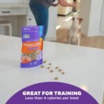 Outward Hound Nina Ottosson Puzzle Bitez Dog Treats, Peanut Butter, 7.5 oz - Image 4