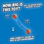 Chuckit! Ultra Duo Tug Dog Toy, Medium 2.5in, Orange and Blue, 20-60lbs - Image 3
