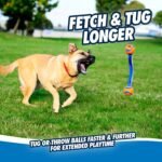 Chuckit! Ultra Duo Tug Dog Toy, Medium 2.5in, Orange and Blue, 20-60lbs - Image 6
