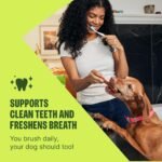 Whimzees Wellness Alligator Natural Dog Dental Treat, Chews, Freshens Breath, Small Size, 12.7 oz Bag, 24 Count - Image 3