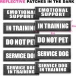 WINSEE Service Dog Vest Harness for Medium Dog, Tactical Working MOLLE Vest with 10 Pet Patches, No Pull Heavy Duty Harness for Training Walking - Image 7