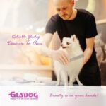 GLADOG Professional 4 in 1 Dog Grooming Scissors Set with Safety Round Tips, Sharp and Heavy-duty Pet Grooming Shears for Cats (Pink) - Image 6
