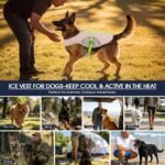 Dog Cooling Shirt for Hot Weather, Cooling Vest for Dogs with Leash Ring - Image 6