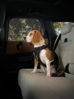 Thule Cappy Dog Harness L, Seatbelt Passthrough, Leash Loop, Step-in Design - Image 6