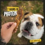 Chicken Jerky Dog Treats, Soft and Chewy Healthy Snack - Image 5