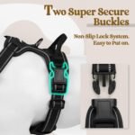 rabbitgoo Dog Harness, No Pull Medium Sized with 2 Leash Clips, Pet Vest - Image 3