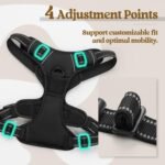 rabbitgoo Dog Harness, No Pull Medium Sized with 2 Leash Clips, Pet Vest - Image 4