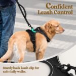 rabbitgoo Dog Harness, No Pull Medium Sized with 2 Leash Clips, Pet Vest - Image 6