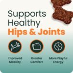VetriScience Extra Strength Healthy Hip & Joint for Dogs, Chicken, 120ct - Image 3