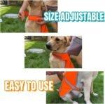 Blaze Orange Reflective Dog Safety Vest for Walking & Jogging L - Image 3