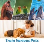 Dog Clicker for Training,2 Pcs Dog Training Clicker Dog Trainer Cat Clicker - Image 6