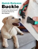 TagME Personalized Dog Collar with Name, Reflective, Small to Large Dogs - Image 3
