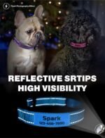 TagME Personalized Dog Collar with Name, Reflective, Small to Large Dogs - Image 5