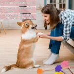 3 Pcs Dog Training Stick Pole, 16.73 Inch Puppy Training Tools Whip with Anti-Slip Handle, Outdoor and Indoor Exercise Interactive Dog Pole for Small Medium Dogs - Image 5