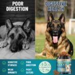VICSOM Dog Allergy Relief & Probiotic Chews Bundle, 200 Count Each - Chicken Flavor Soft Chewswith Probiotics, Omega-3, Colostrum & Digestive Enzymes for Skin, Coat & Gut Support - Image 3