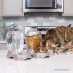 Petmate Pet Cafe Gravity Water Dispenser, 0.75 GAL, Pearl Gray - Image 7