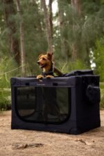 Noah & Paw XXL Collapsible Dog Crate, 42", Soft Sided Dog Crate 900D Oxford - Image 5