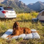 Outward Hound On-The-Go Cozy Camping Roll-Up Dog Bed, Medium & Large Dogs - Image 5