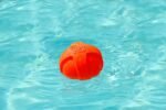 Hartz Dura Play Bacon Scented Squeak Ball Dog Toy for Small Breeds, 3 Pack - Image 4