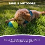 Outward Hound Nina Ottosson Treat Tumble Dog Toy Puzzle Ball, 4.8" - Image 6