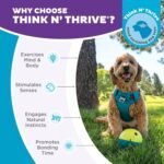 Outward Hound Nina Ottosson Treat Tumble Dog Toy Puzzle Ball, 4.8" - Image 7