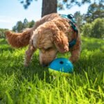Outward Hound Nina Ottosson Treat Tumble Dog Toy Puzzle Ball, 4.8" - Image 9