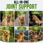 Glucosamine Hip & Joint Supplement for Dogs - 250 Chews with Chondroitin - Image 7