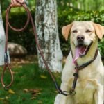 Rope Dog Leash, 6 Foot Heavy Duty Dog Leash with Aviation Aluminum Auto Locking Carabiner, Strong Nylon Pet Lead for Small, Medium, Large Dogs (Black, 6FT) - Image 6