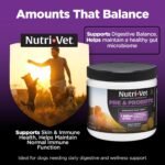 Nutri-Vet Pre & Probiotics for Dogs, Dog Probiotics, 120 Soft Chews - Image 3