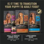 Purina Pro Plan High Protein Dry Puppy Food, Chicken & Rice, 6 lb Bag - Image 5