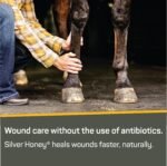 Absorbine Silver Honey Rapid Wound Repair Ointment 2oz Tube, Manuka Honey + MicroSilver BG, Horse & Large Animal Wound Care - Image 4