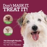 Vetality Medicated Otic Drops for Dog Ear Infection Treatment, 2 fl oz - Image 3
