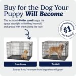 Midwest 22-Inch Single Door iCrate, for Extra-Small Breeds, Up to 15 lbs - Image 3