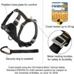 Kurgo Enhanced Strength Tru-Fit Smart Harness, Deep Violet, Medium - Image 2
