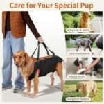 Mayerzon Full Body Dog Lift Harness, Support Senior & Disabled Dogs Walking - Image 3