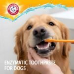 Arm & Hammer, Dog Dental Kit, Toothbrush and Toothpaste, Chicken, 2.5 oz - Image 4