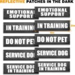 WINSEE Service Dog Vest Harness for Large Dog, Tactical Working MOLLE Vest with 10 Pet Patches, No Pull Heavy Duty Harness for Training Walking - Image 5