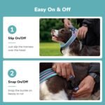 Didog No Pull Dog Harness for Small Dogs, Soft Flannel Padded, Mixed-Blue,S - Image 3