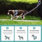 Didog No Pull Dog Harness for Small Dogs, Soft Flannel Padded, Mixed-Blue,S - Image 4