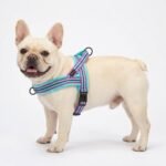 Didog No Pull Dog Harness for Small Dogs, Soft Flannel Padded, Mixed-Blue,S - Image 5