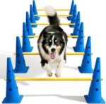 Dog Agility Course Backyard Set, Dog Agility Hurdle Cone Set