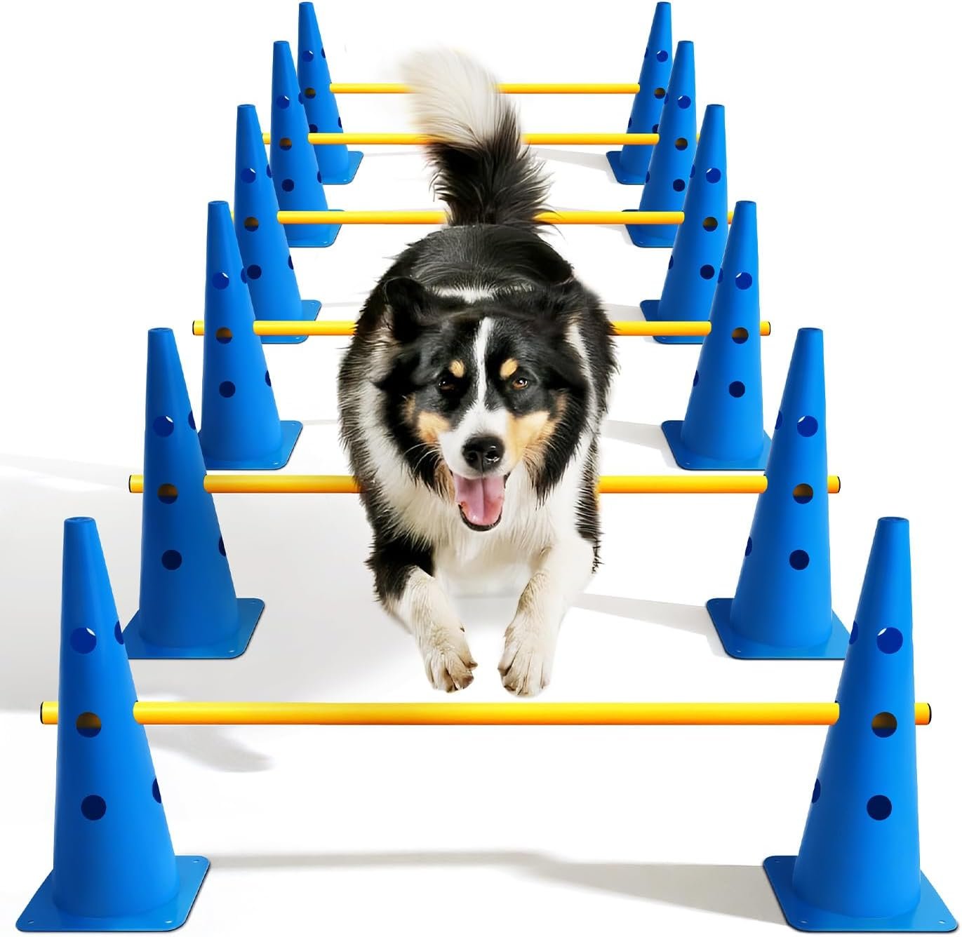 Dog Agility Course Backyard Set, Dog Agility Hurdle Cone Set Dog Agility Course Backyard Set, Dog Agility Hurdle Cone Set