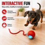 Interactive Automatic Rolling Electronic Stimulation Chase Ball Cat Dog Toy - Image 2