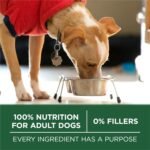 Purina ONE Plus Small Breed High Protein Dry Dog Food, Lamb, 7.4 lb Bag - Image 6