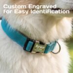 Personalized Dog Collars with Name and Phone (Black, M 3/4" (13~20")) - Image 7