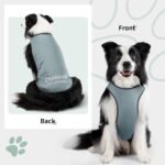 Dog Cooling Vest with Soft Stretchy Sun Protection,Misty Glade,XL - Image 5